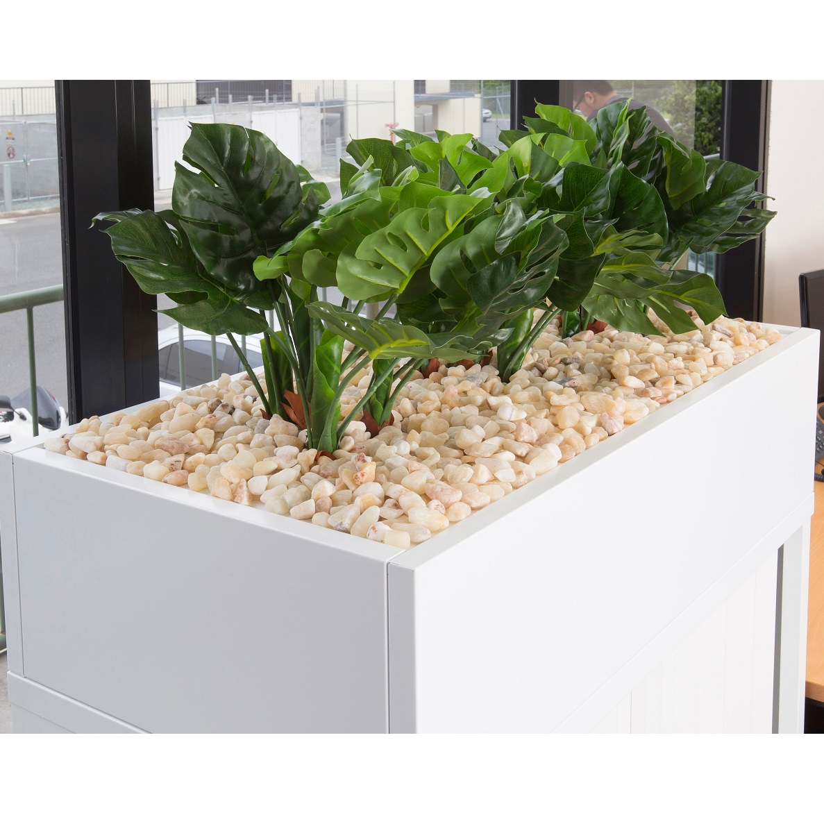 Go Planter Box in office