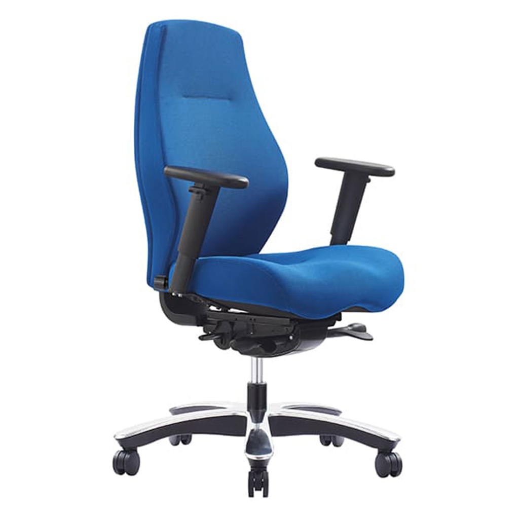 Control Chair (Low Back)