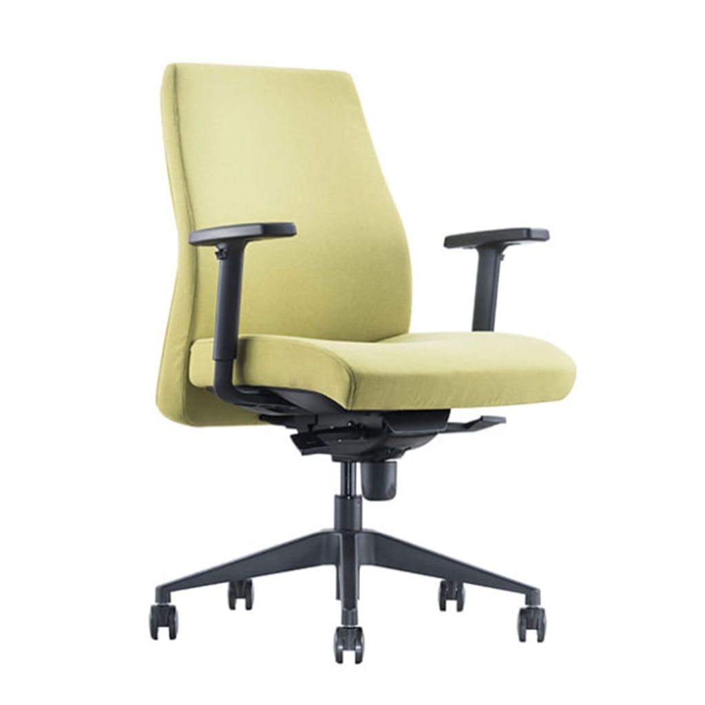 Austin Chair (Low Back)