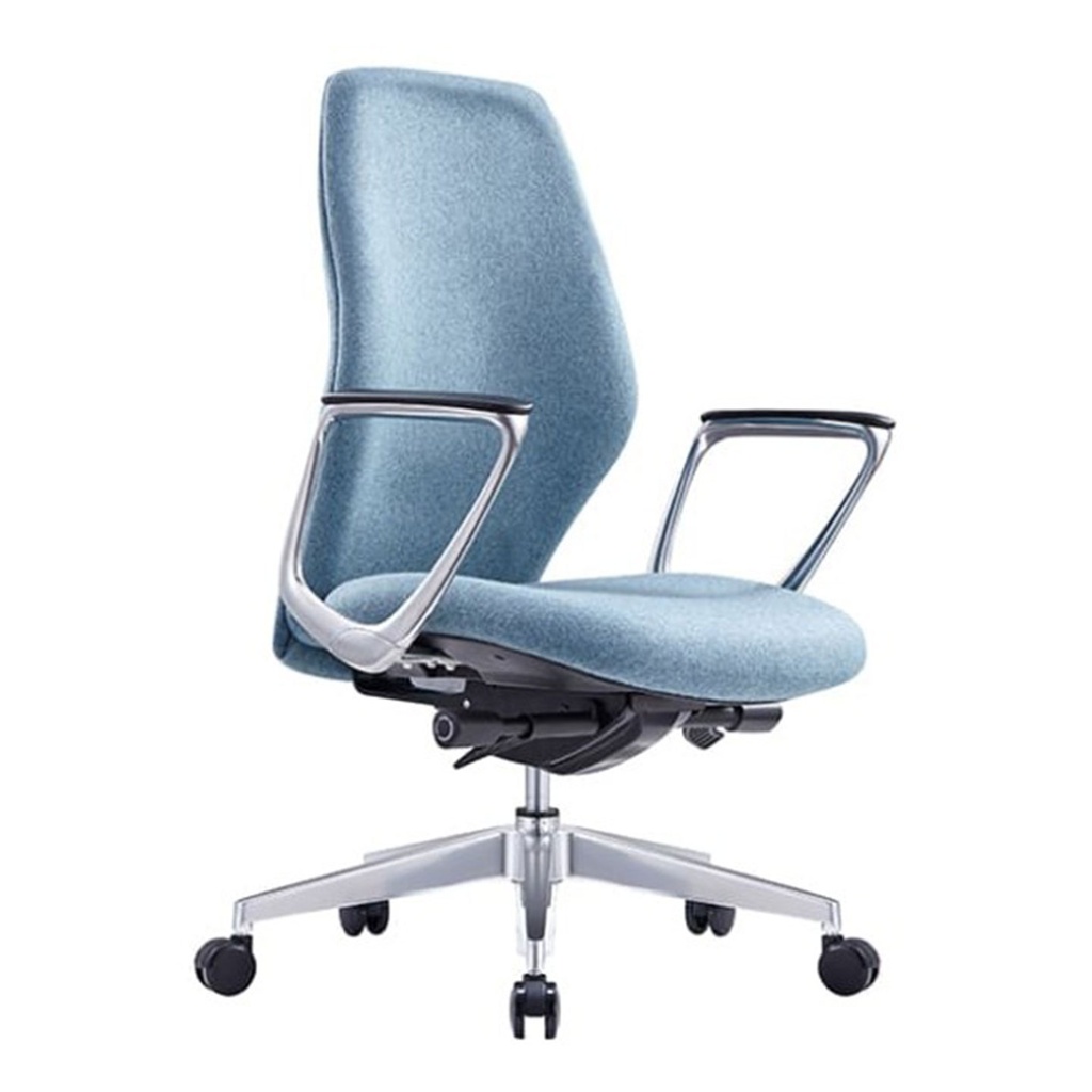 Assist Chair (Low Back)
