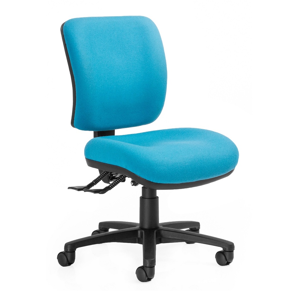 Rexa Manual Back Chair (Q) (Manual, Medium Back)
