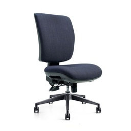 Chinque Chair (Medium Back, Without Seat Slide, Large 515W x 480D, Black High Rise Spider Base)