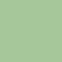 Seat Shell Colour (Fly): Light Green