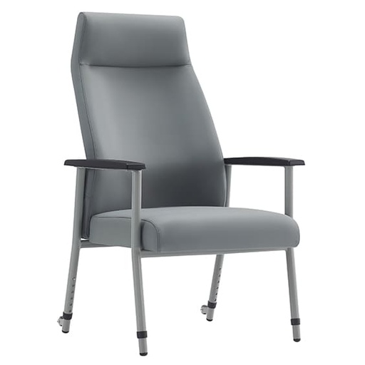Balance Healthcare Chair in Lustrell Charisma (QEH)